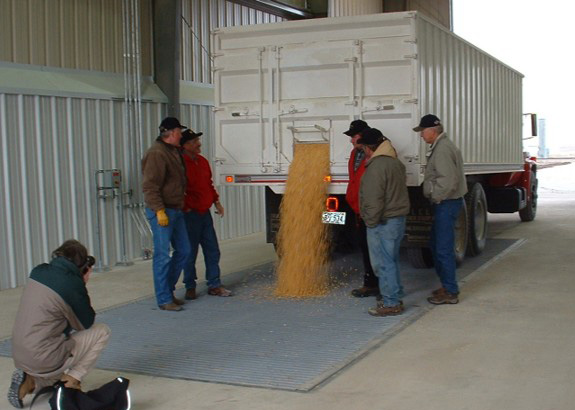 grain being unloaded through an auger