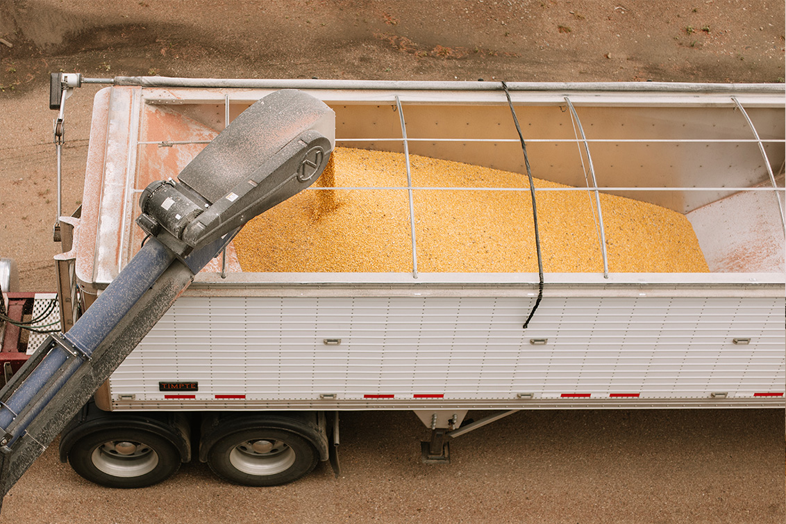 truck being filled with corn