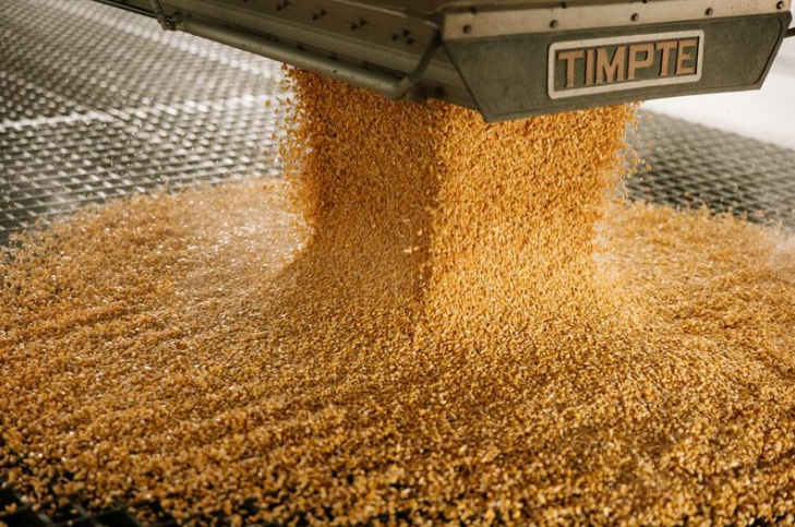 Corn being dumped onto a grate